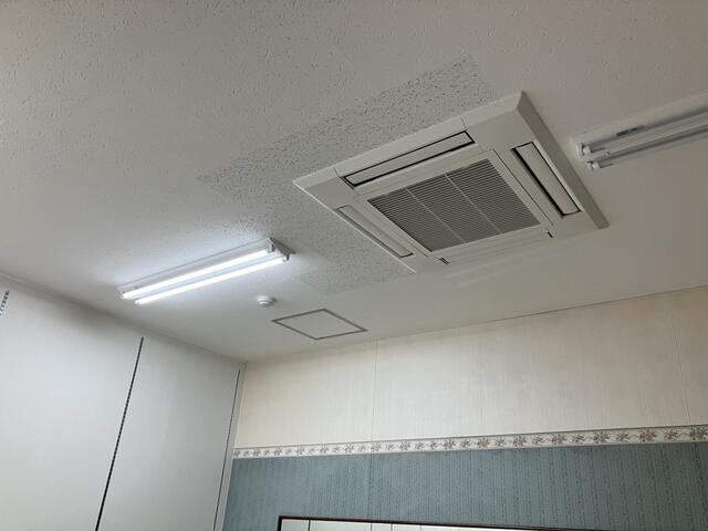 ｼﾝﾄﾁﾌｫﾙﾑ⑤