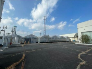 ﾌｧﾐﾘｰ安心院②