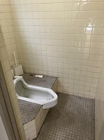 ｼﾝﾄﾁ、ﾅｲﾝﾃﾗｽ⑭