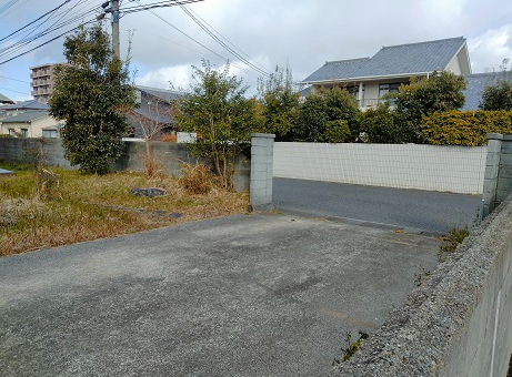 ひまわり、大在③