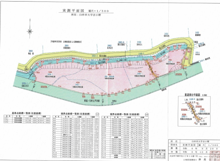 ひまわり、臼杵③