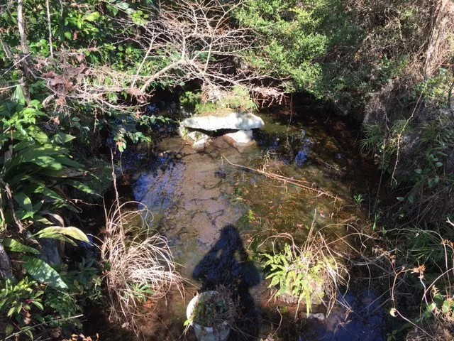 MIC湯布院⑨.
