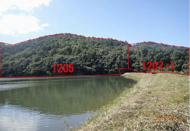 宇佐豊後不動産、今仁⑥.