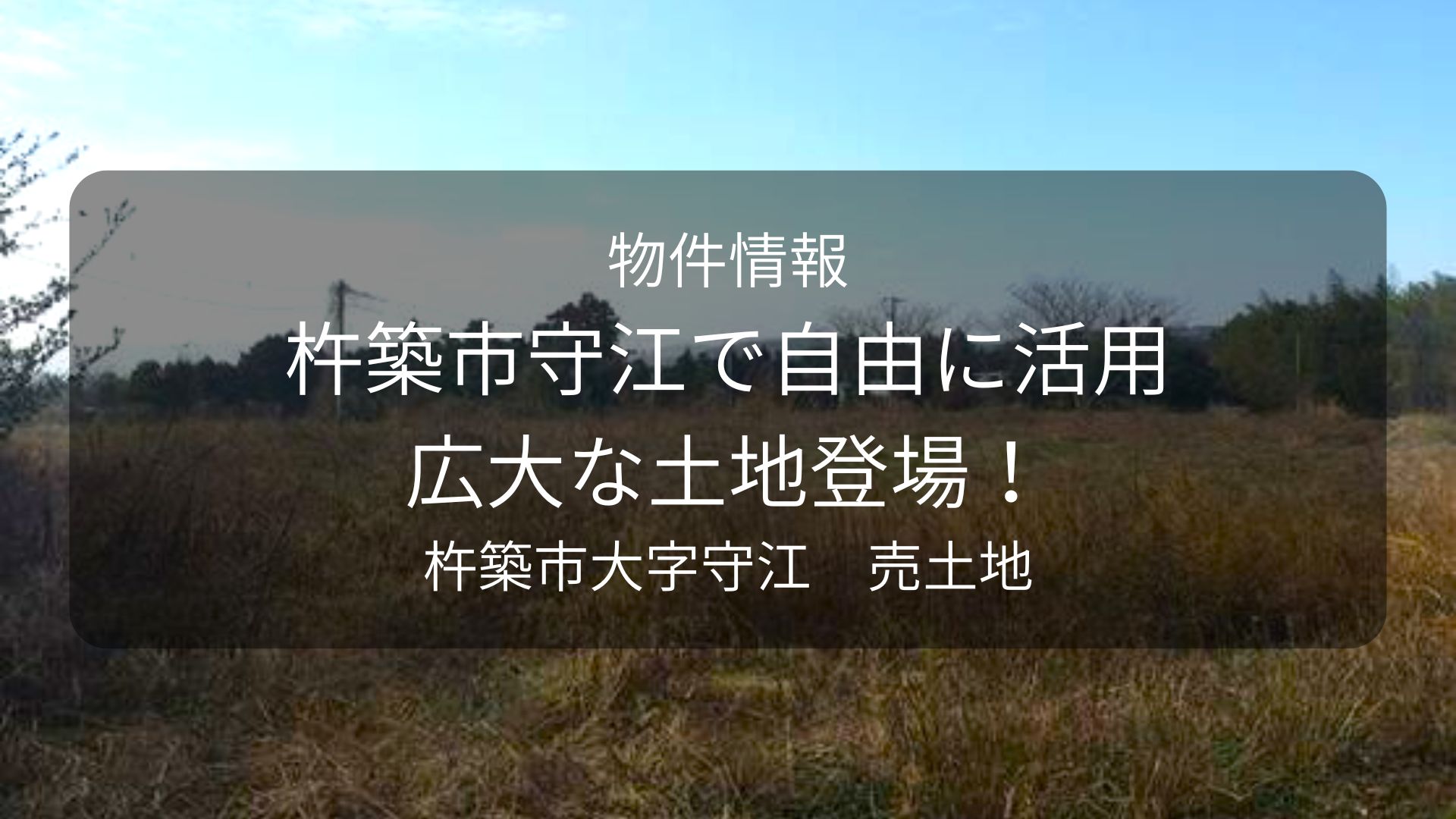 物件-カイセイ、杵築