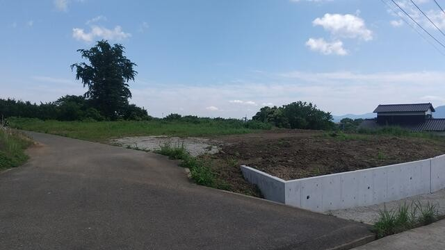 ベアーフルーツ、日出①