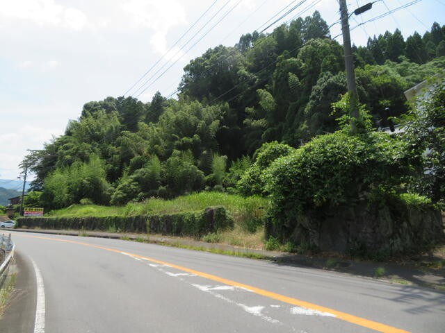 丸善、日田友田①