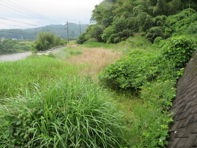 丸善、日田友田②