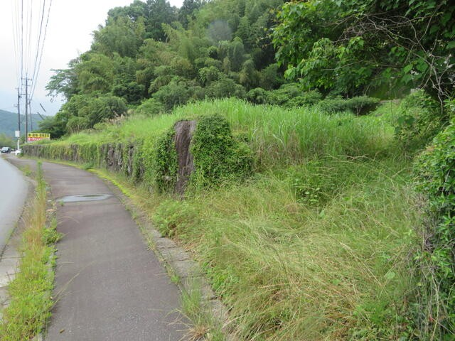 丸善、日田友田③