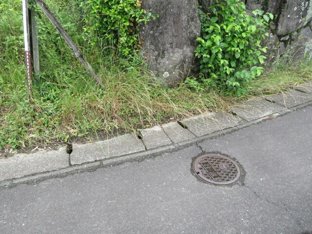丸善、日田友田⑥