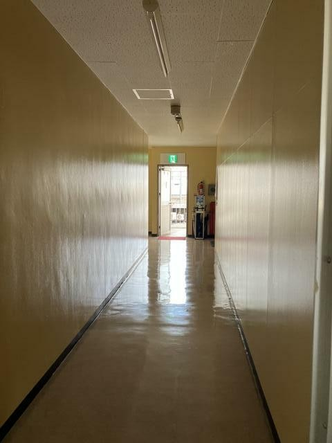 ｼﾝﾄﾁ､大津⑩