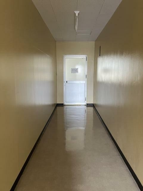 ｼﾝﾄﾁ､大津⑫