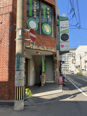 シントチ、府内アフリカビル③