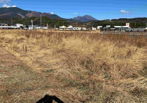 首藤不動産事務所（庄内大龍、売土地）②