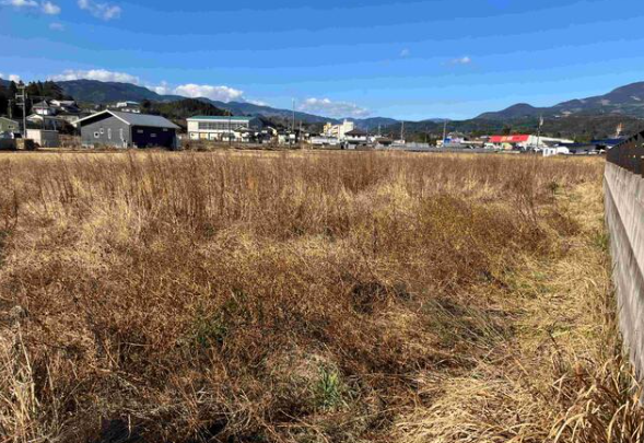 首藤不動産事務所（庄内大龍、売土地）③